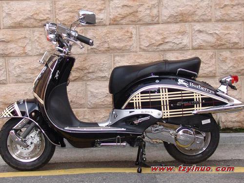 大龜王圖片/大龜王樣板圖 (2)