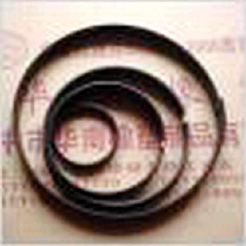 供應(yīng)聚*導(dǎo)向環(huán)圖片，聚*導(dǎo)向環(huán)批發(fā)，揚中聚*導(dǎo)向環(huán)供應(yīng)商