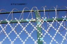 *刺網(wǎng)護欄網(wǎng) 防盜網(wǎng)