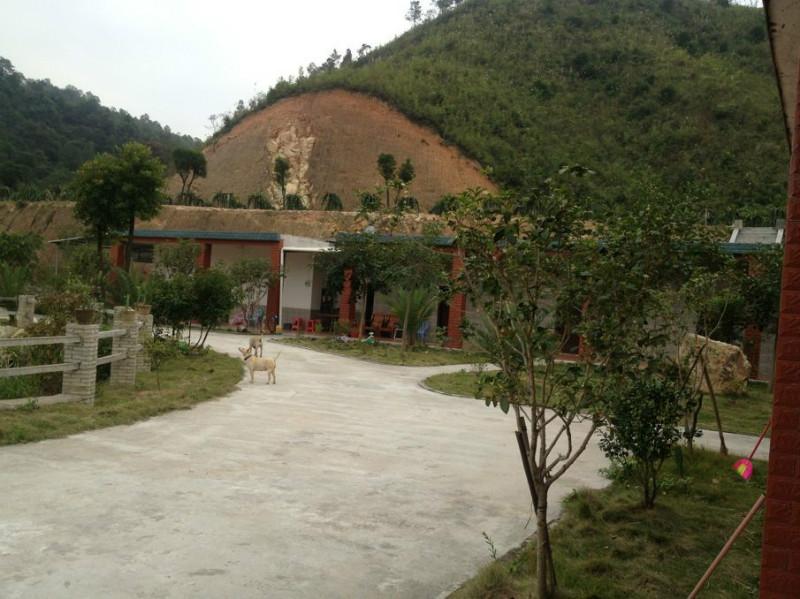 供應(yīng)好吃好玩的生態(tài)果園-有名的生態(tài)果園-生態(tài)果園聯(lián)系電話