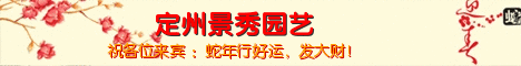 保定市榆叶梅厂家供应榆叶梅 定州景秀园艺 园林植物 榆叶梅价格 河北供应园艺苗木