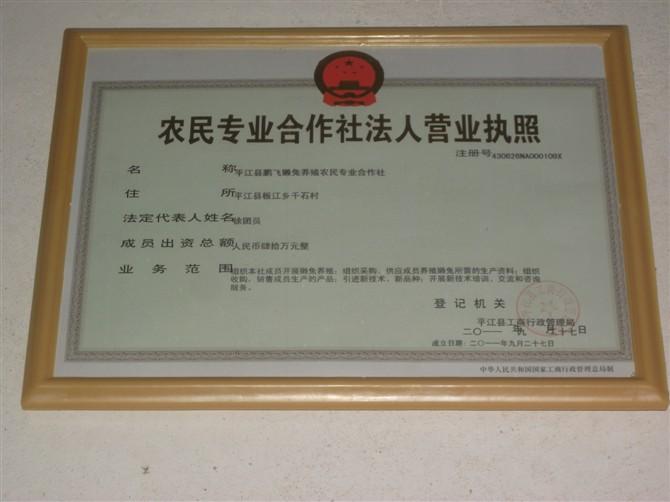 供應湖南岳陽兔子加工銷售公司