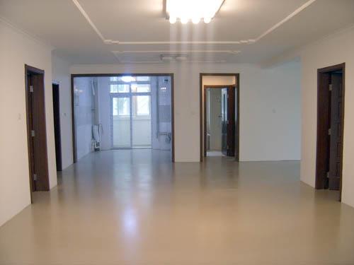 沃固斯供應(yīng)淮安經(jīng)濟(jì)型環(huán)氧樹脂薄涂地坪