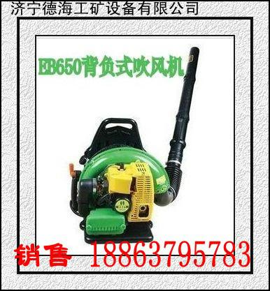 輕便型吹風(fēng)機(jī)圖片