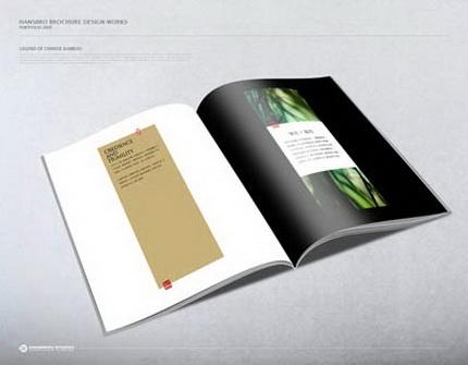 供應(yīng)鄭州宣傳畫冊(cè)設(shè)計(jì)印刷