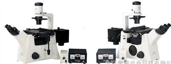 供應(yīng)DSY5000倒置熒光顯微鏡