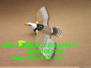 供應(yīng)強大動力電動飛鷹，有音樂有燈光電動吊線飛鷹價格，生產(chǎn)電動*廠