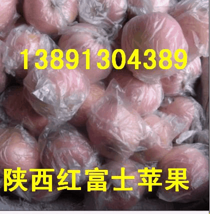 供應(yīng)陜西冷庫紅富士蘋果價(jià)格行情產(chǎn)地基地