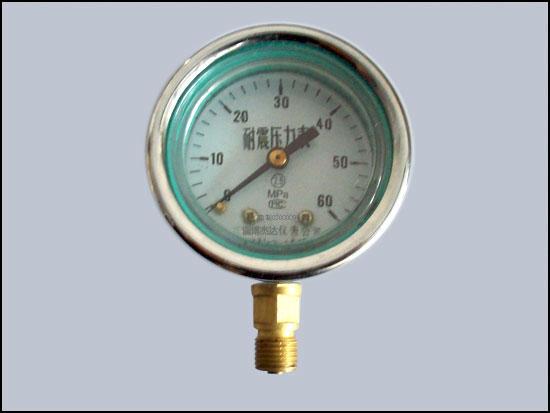 供應(yīng)淮安耐震壓力表