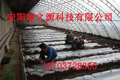 供應(yīng)鋼管鍍塑機(jī)溫室大棚骨架機(jī)