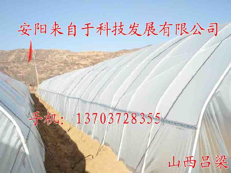 花卉大棚骨架骨架機(jī)蔬菜大棚骨架圖片