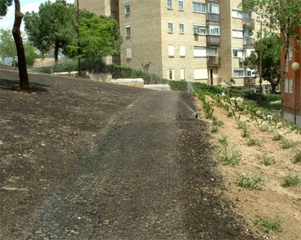 供應(yīng)植物纖維噴播復(fù)綠 上海椰纖維毯護(hù)坡技術(shù)