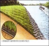 福建三維植被網(wǎng)施工流程圖片