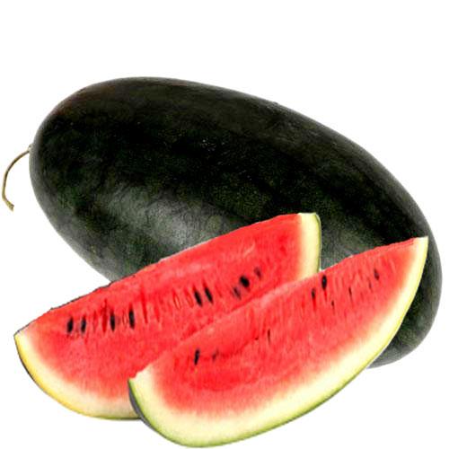 湖北黑美人西瓜基地