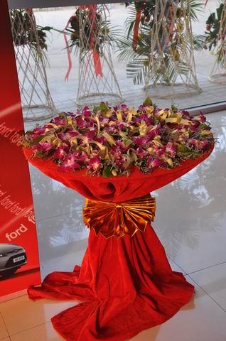 石家莊音響圖片/石家莊音響樣板圖 (2)