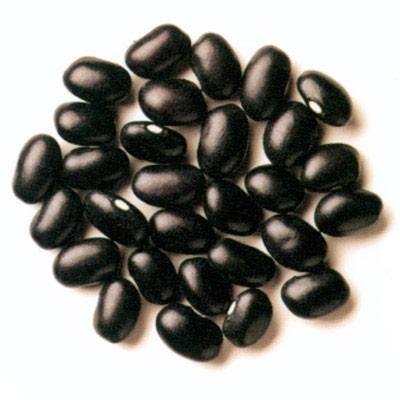 供應(yīng)山東黑大豆種子廠家黑大豆種子批發(fā)青仁烏豆種子廠家