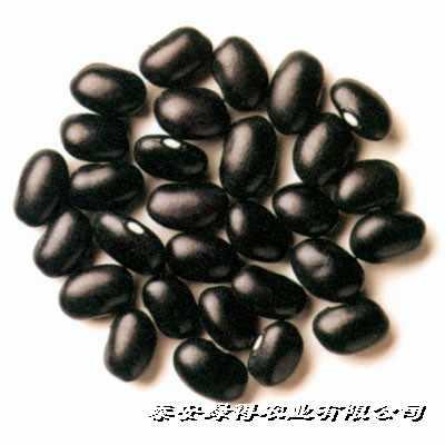 供應(yīng)黑小豆黑綠豆黑豆