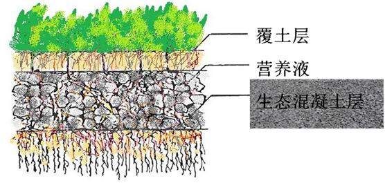 供應(yīng)鄭州現(xiàn)澆反濾生態(tài)混凝土