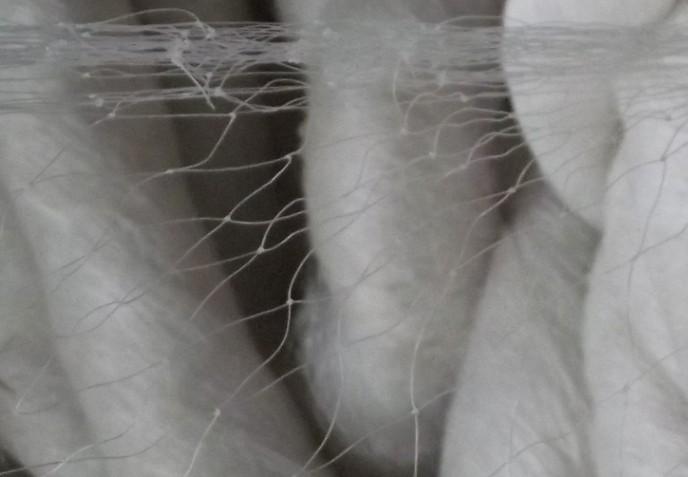 供應(yīng)鳥網(wǎng)防鳥網(wǎng)