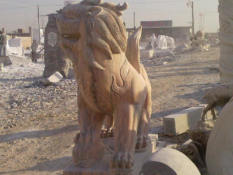 供應(yīng)西洋爬獅