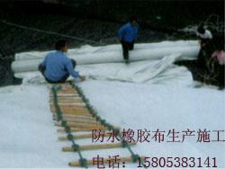 供應(yīng)邢臺(tái)復(fù)合土工膜防水橡膠布藕池防滲材料