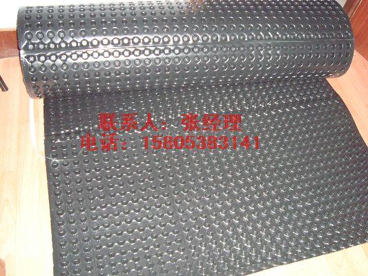 供應(yīng)花園屋頂綠化排水板車庫(kù)排水板