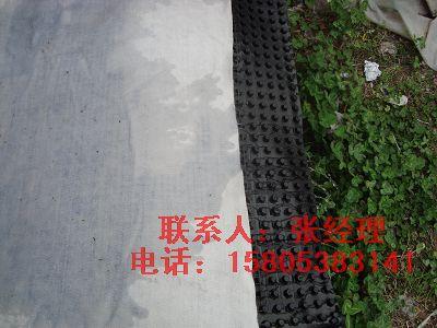 園林建筑綠化排水板圖片