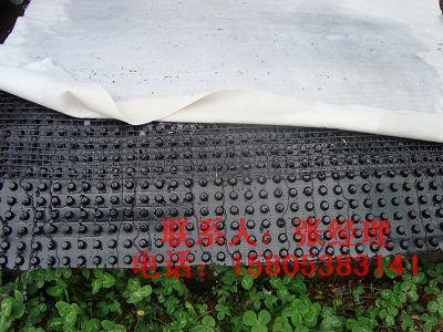 供應(yīng)花園屋頂綠化排水板車庫(kù)排水板