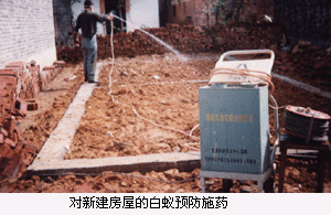 供應(yīng)東莞*的殺蟲公司專業(yè)白蟻防治