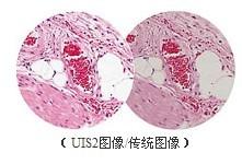 供应奥林巴斯显微镜BX41浙江图片