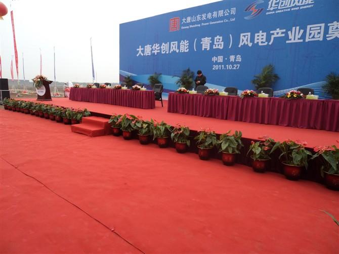 供應(yīng)青島哪有賣(mài)蝴蝶蘭的