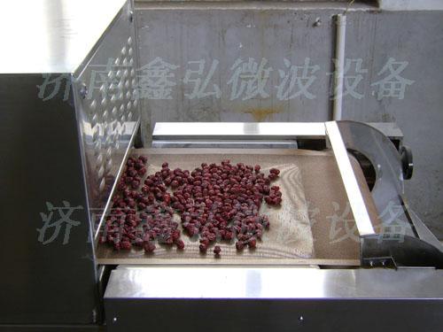 供應(yīng)吉林農(nóng)產(chǎn)品微波*烘干設(shè)備