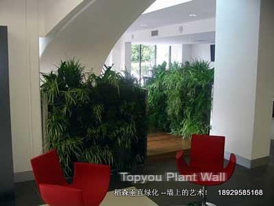 植物墻欣賞斯德哥爾摩