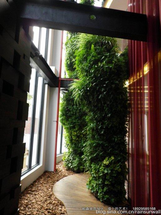 香港綠牆與廣州稻森綠墻