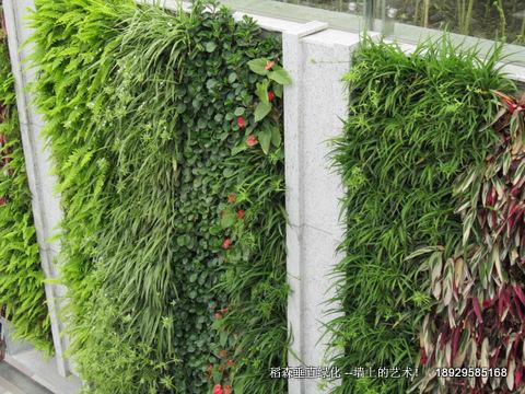 廣東的垂直綠化