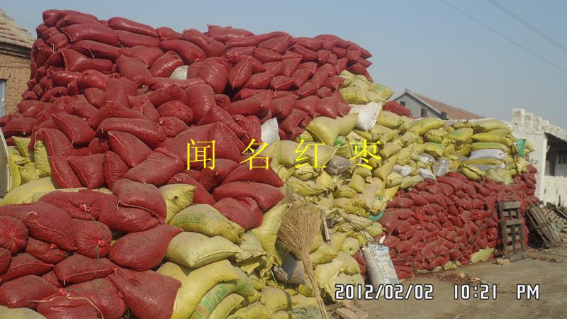 飼料用棗圖片/飼料用棗樣板圖 (2)