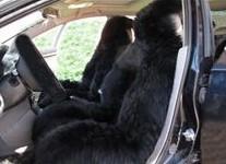 換季促銷經(jīng)典全黑色高低毛坐墊圖片