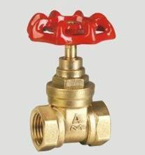 廣西南寧埃美柯銅閥門銷售有限公司圖片