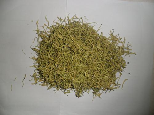 供應(yīng)金銀花藥才
