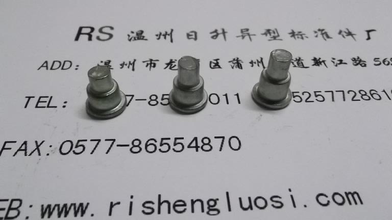 供應(yīng)溫州非標(biāo)螺絲廠