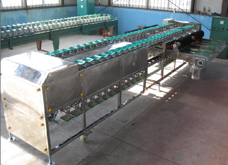 供應(yīng)不銹鋼蘋果柑橘雙直自動上果選果機