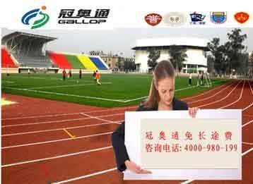 人造草圖片/人造草樣板圖 (3)