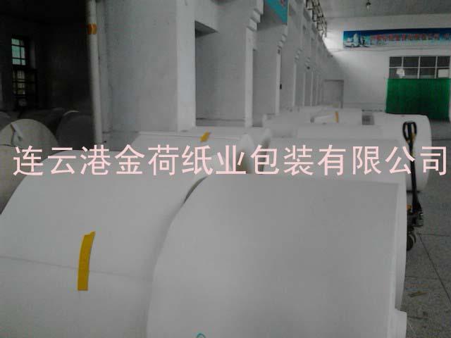金荷雙PE淋膜紙供貨商圖片