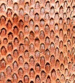 運城制版壓花版廠家圖片