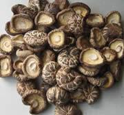 供應(yīng)干香菇