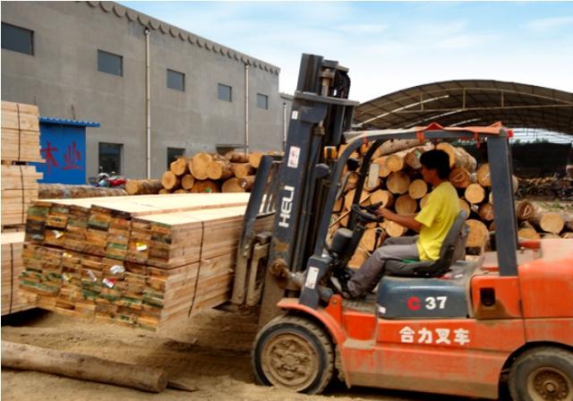 輻射松木方圖片/輻射松木方樣板圖 (2)