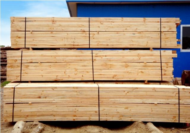 鐵杉木方圖片/鐵杉木方樣板圖 (3)