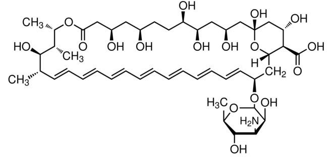 供應(yīng)可溶性兩性霉素B，CAS＃：1397-89-3
