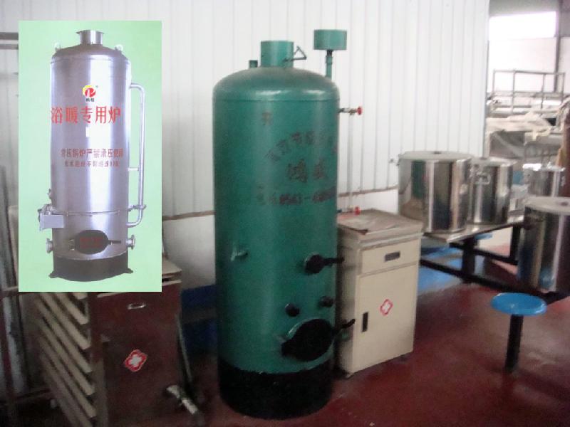 供應(yīng) 煤碳?xì)饣h(huán)保蒸汽鍋爐廠家