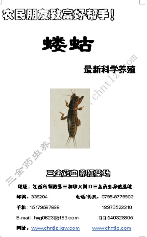 供應(yīng)螻蛄養(yǎng)殖基地_廣東螻蛄養(yǎng)殖培訓(xùn)_廣東螻蛄養(yǎng)殖技術(shù)_廣東螻蛄養(yǎng)殖基地